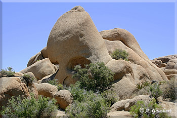 Skull Rock